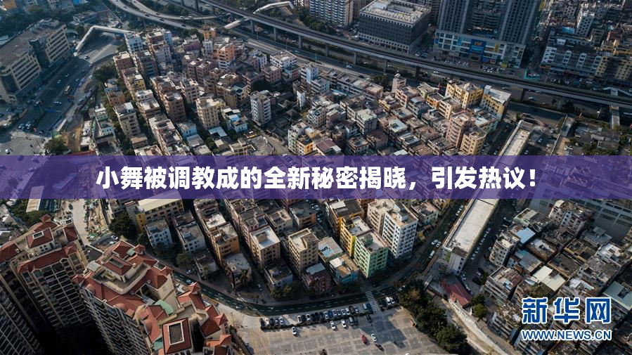 小舞被调教成的全新秘密揭晓，引发热议！