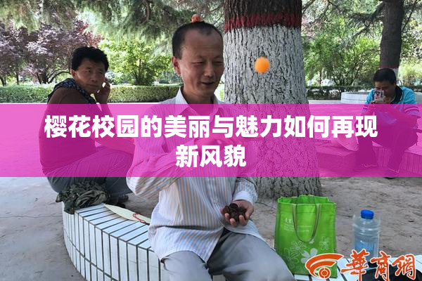 樱花校园的美丽与魅力如何再现新风貌