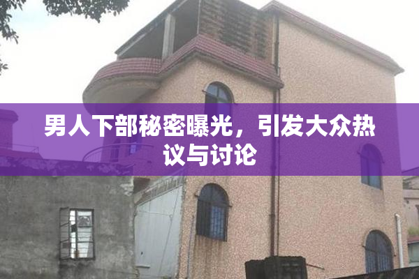 男人下部秘密曝光，引发大众热议与讨论