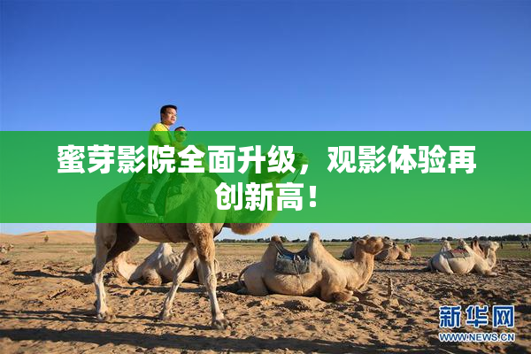 蜜芽影院全面升级，观影体验再创新高！