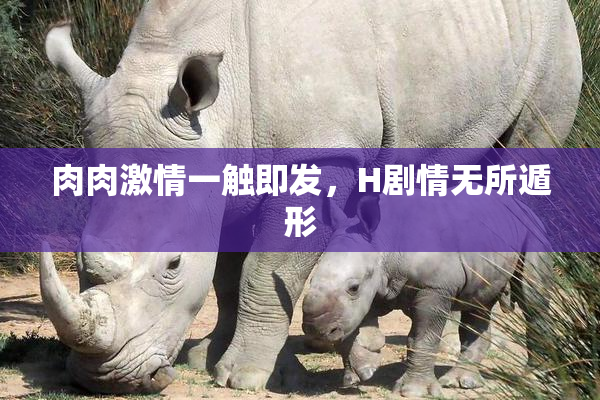 肉肉激情一触即发，H剧情无所遁形