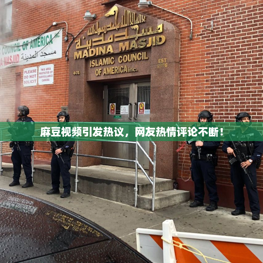 麻豆视频引发热议，网友热情评论不断！