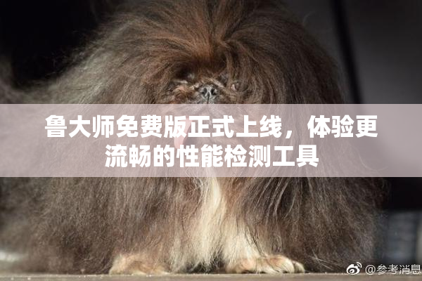 鲁大师免费版正式上线，体验更流畅的性能检测工具