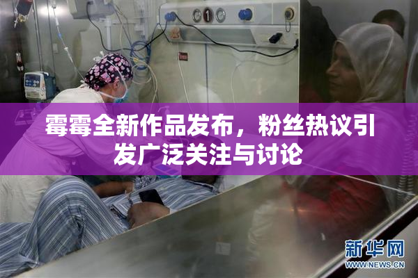 霉霉全新作品发布，粉丝热议引发广泛关注与讨论