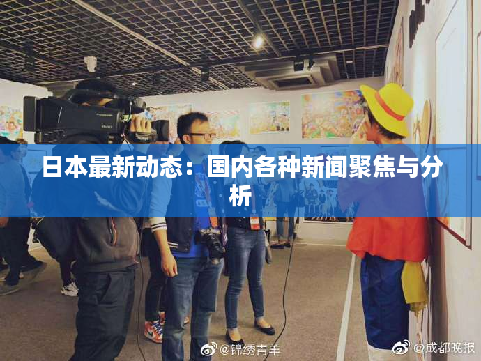 日本最新动态：国内各种新闻聚焦与分析