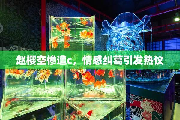 赵樱空惨遭c，情感纠葛引发热议