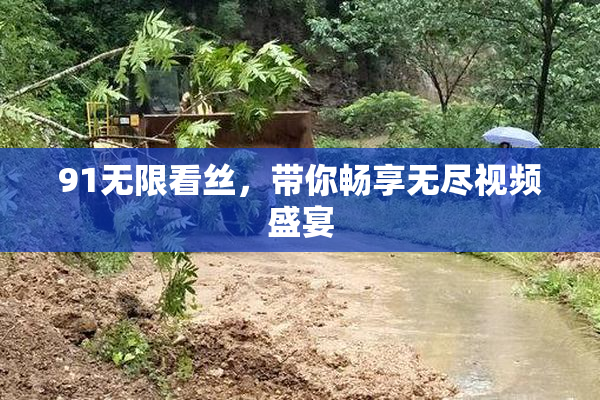 91无限看丝，带你畅享无尽视频盛宴