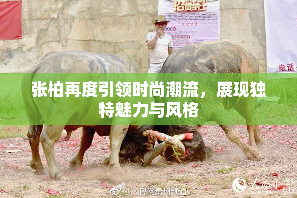 张柏再度引领时尚潮流，展现独特魅力与风格