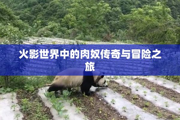 火影世界中的肉奴传奇与冒险之旅
