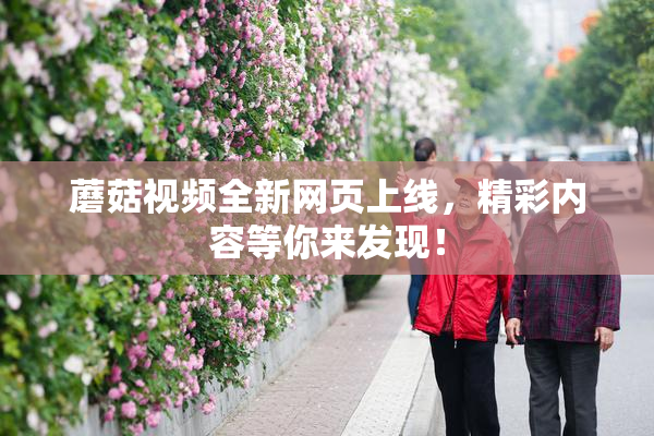 蘑菇视频全新网页上线，精彩内容等你来发现！