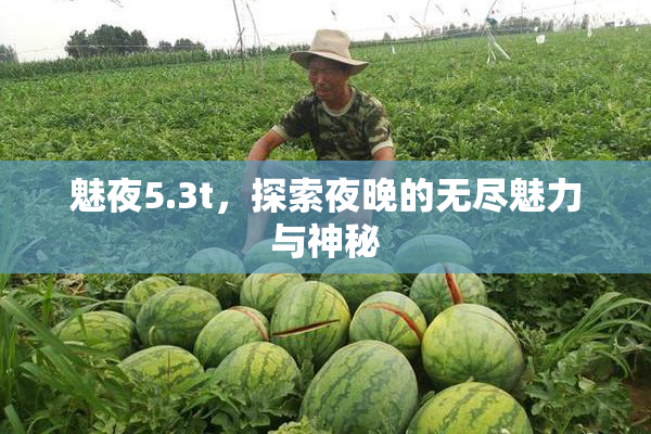 魅夜5.3t，探索夜晚的无尽魅力与神秘