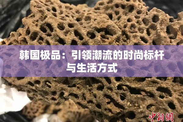 韩国极品：引领潮流的时尚标杆与生活方式