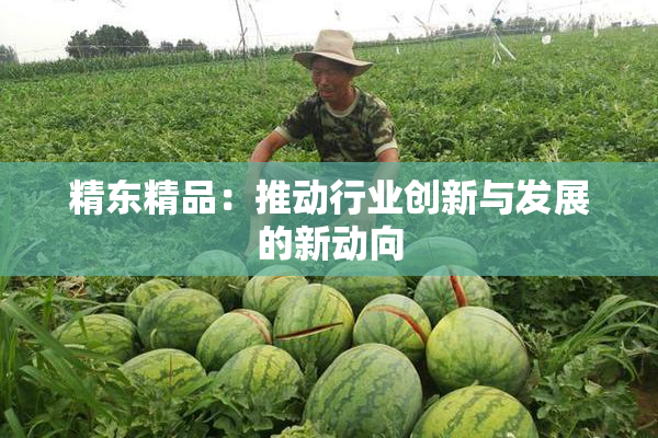 精东精品：推动行业创新与发展的新动向