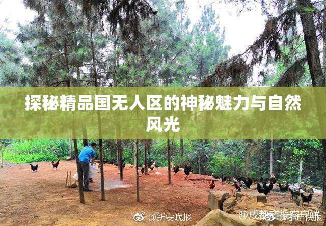 探秘精品国无人区的神秘魅力与自然风光