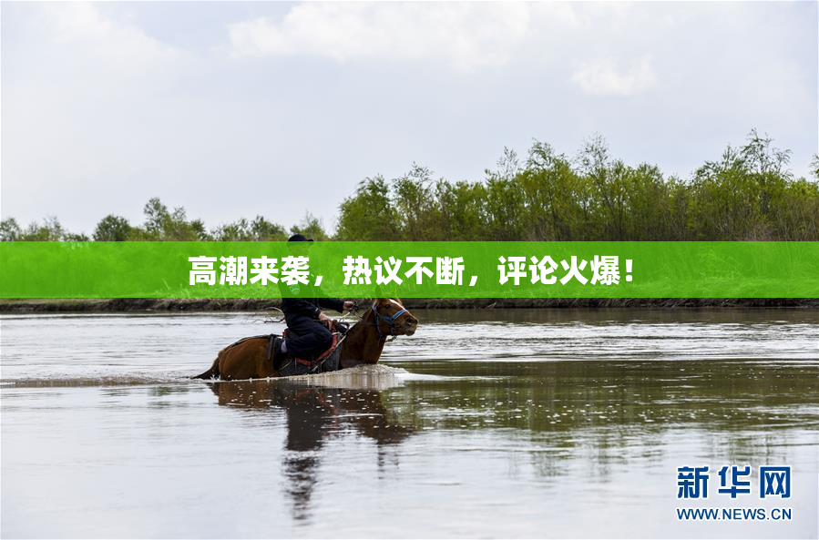 高潮来袭，热议不断，评论火爆！