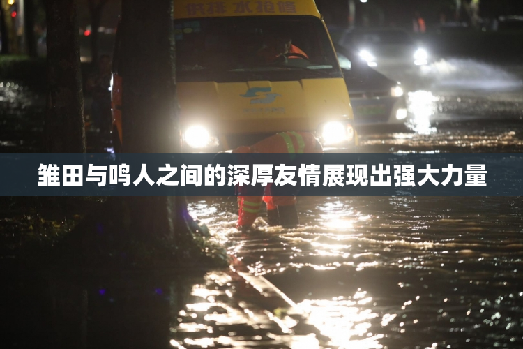 雏田与鸣人之间的深厚友情展现出强大力量