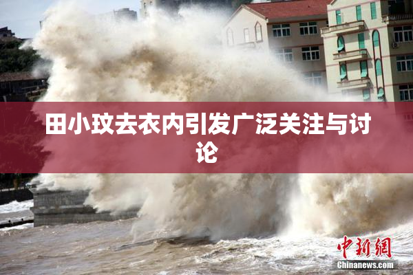 田小玟去衣内引发广泛关注与讨论