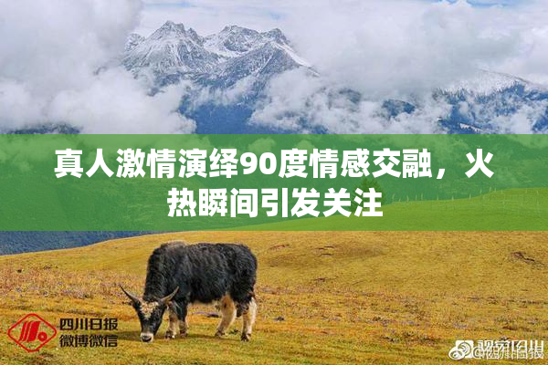 真人激情演绎90度情感交融，火热瞬间引发关注