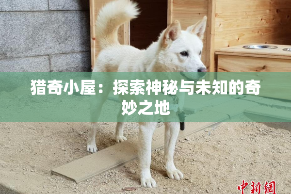 猎奇小屋：探索神秘与未知的奇妙之地
