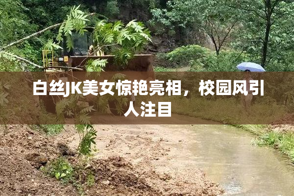 白丝JK美女惊艳亮相，校园风引人注目