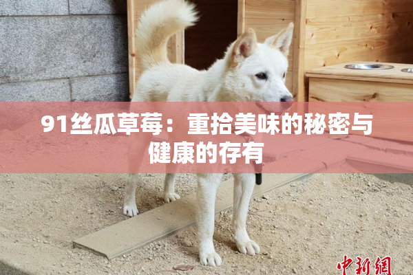 91丝瓜草莓：重拾美味的秘密与健康的存有