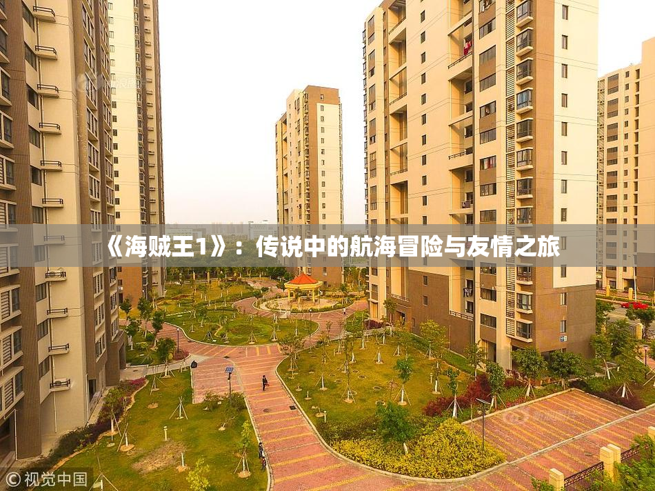 《海贼王1》：传说中的航海冒险与友情之旅