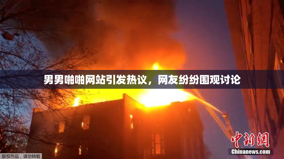 男男啪啪网站引发热议，网友纷纷围观讨论