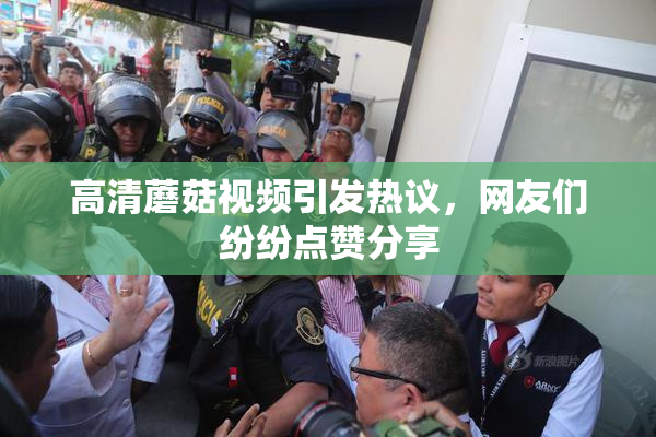 高清蘑菇视频引发热议，网友们纷纷点赞分享