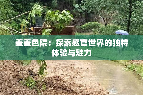 羞羞色院：探索感官世界的独特体验与魅力