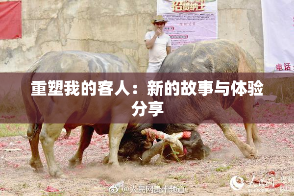 重塑我的客人：新的故事与体验分享