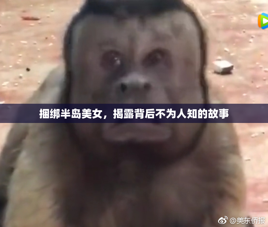 捆绑半岛美女，揭露背后不为人知的故事