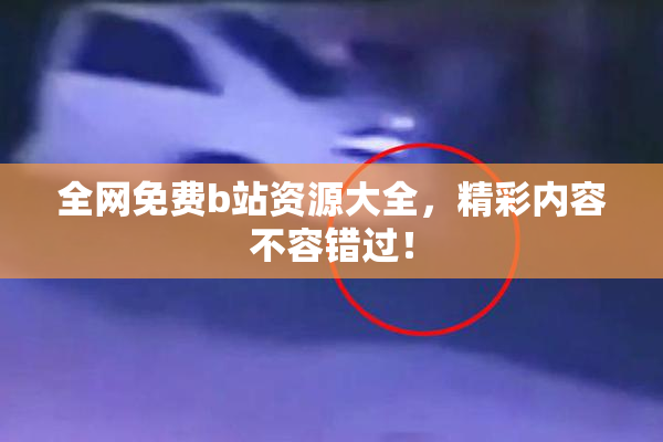 全网免费b站资源大全，精彩内容不容错过！