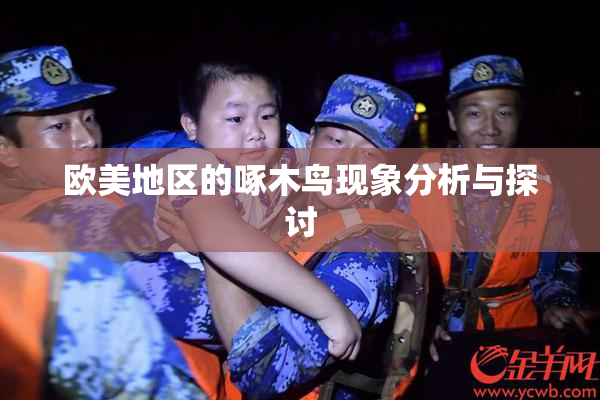 欧美地区的啄木鸟现象分析与探讨