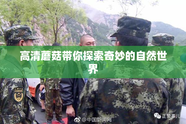 高清蘑菇带你探索奇妙的自然世界