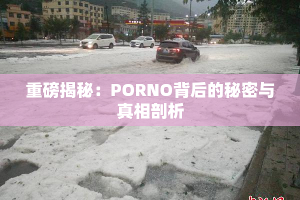 重磅揭秘：PORNO背后的秘密与真相剖析