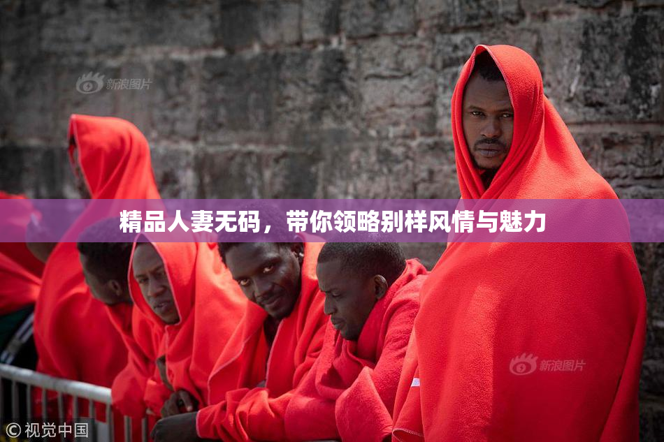 精品人妻无码，带你领略别样风情与魅力