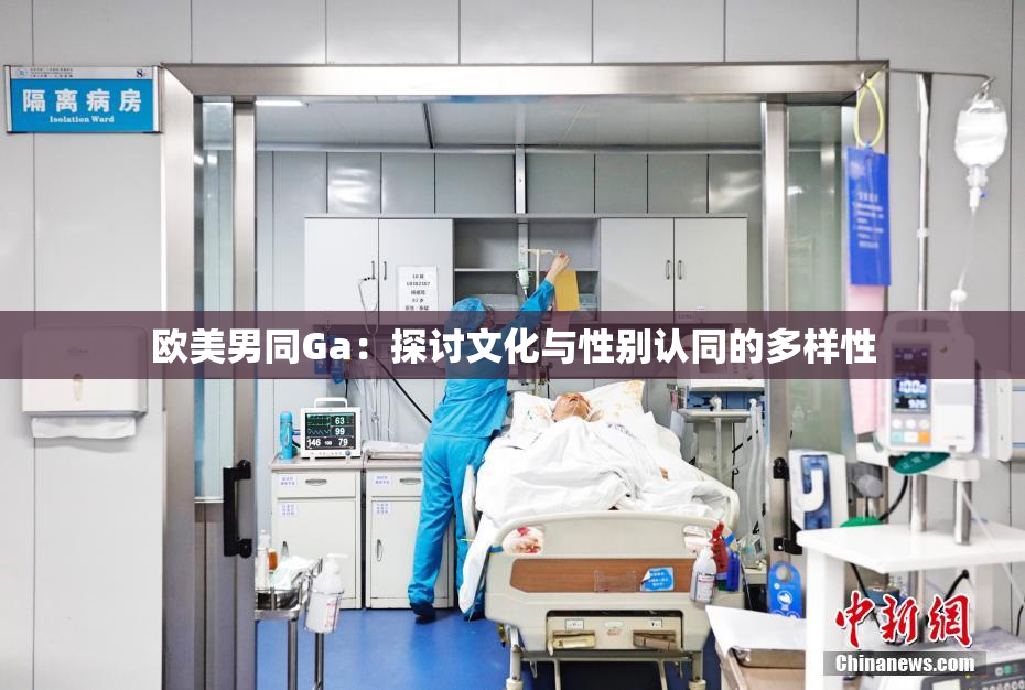 欧美男同Ga：探讨文化与性别认同的多样性