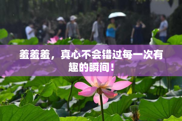 羞羞羞，真心不会错过每一次有趣的瞬间！