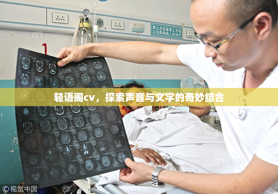 轻语阁cv，探索声音与文字的奇妙结合