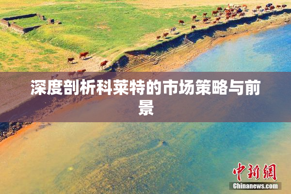 深度剖析科莱特的市场策略与前景