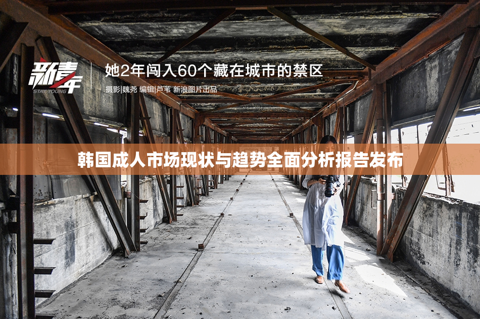 韩国成人市场现状与趋势全面分析报告发布