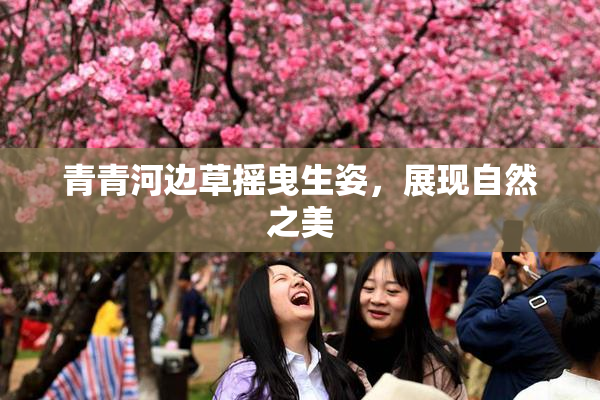 青青河边草摇曳生姿，展现自然之美