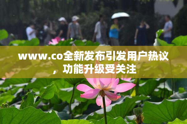 www.co全新发布引发用户热议，功能升级受关注