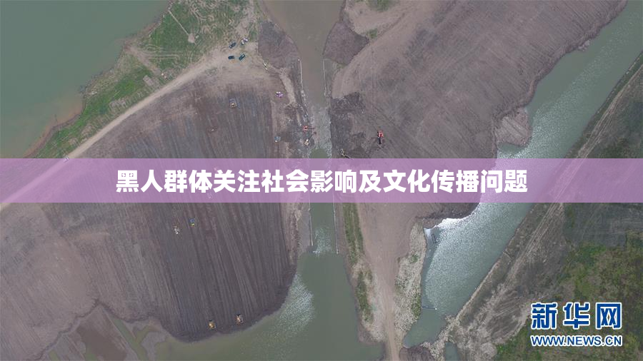 黑人群体关注社会影响及文化传播问题