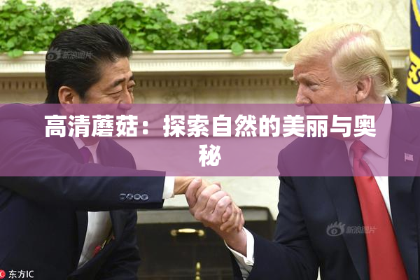 高清蘑菇：探索自然的美丽与奥秘