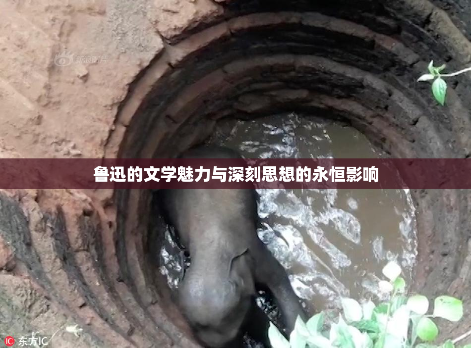 鲁迅的文学魅力与深刻思想的永恒影响