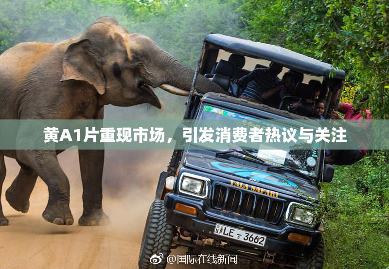 黄A1片重现市场，引发消费者热议与关注