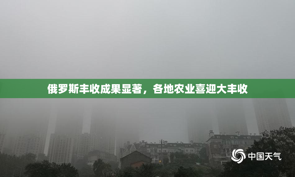俄罗斯丰收成果显著，各地农业喜迎大丰收