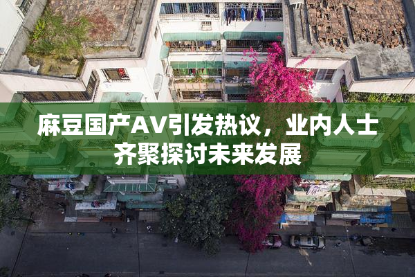 麻豆国产AV引发热议，业内人士齐聚探讨未来发展