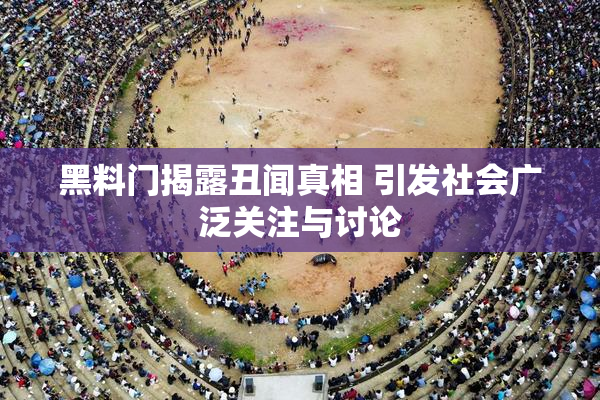 黑料门揭露丑闻真相 引发社会广泛关注与讨论